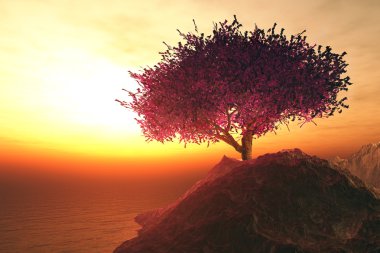 Yalnız kiraz ağacı Sahil kayalar üzerinde 3d resimler
