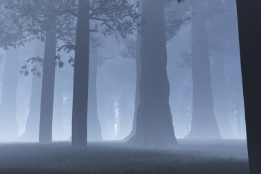 Magic Forest 3D artwork clipart