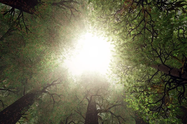 Дивлячись вгору з глибокого лісу 3d візуалізації — стокове фото