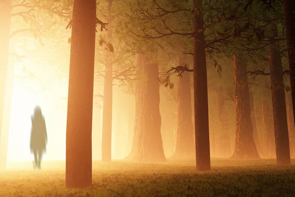 Волшебный лес 3D — стоковое фото
