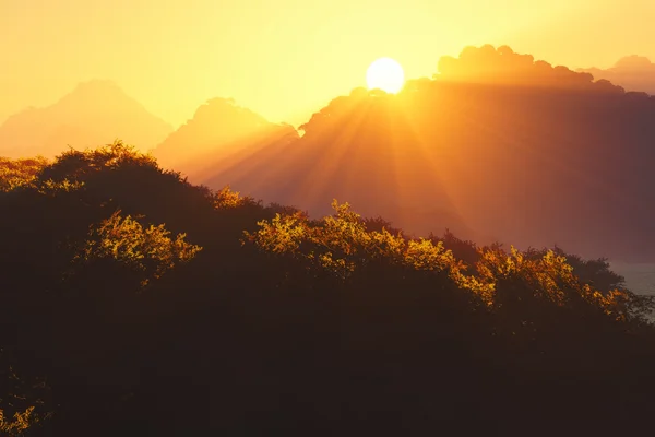 Pôr do sol na selva profunda — Fotografia de Stock