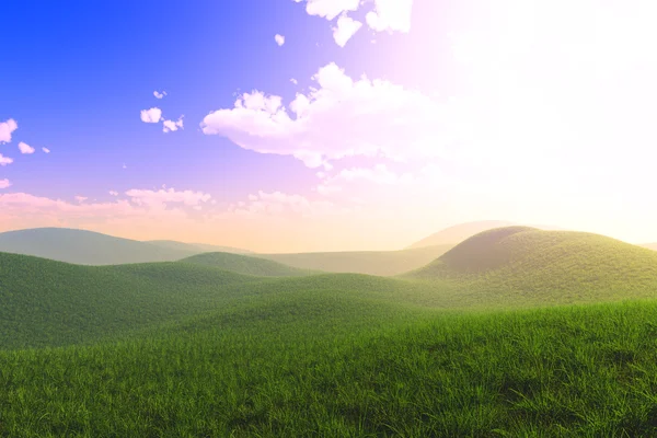 Maravilhoso verde exuberante misterioso conto de fadas campo de verão — Fotografia de Stock