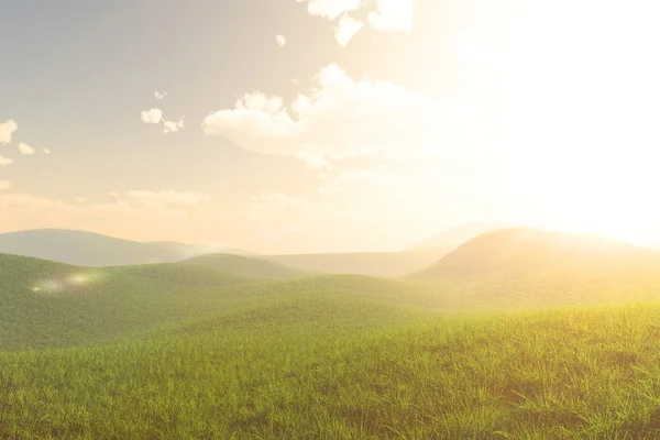 Meraviglioso lussureggiante verde misterioso fiaba campo estivo — Foto Stock