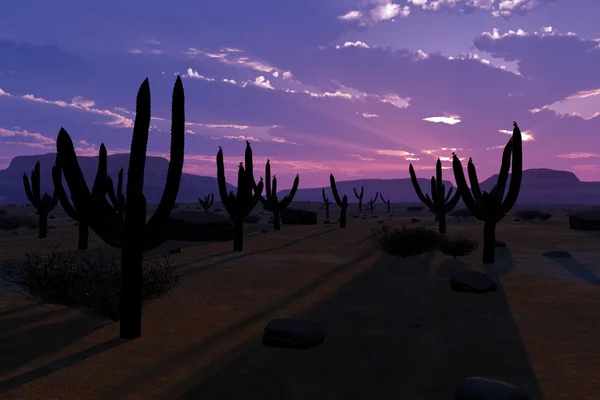 砂漠のサグアロ サボテン フィールド 3 d アートワーク — ストック写真
