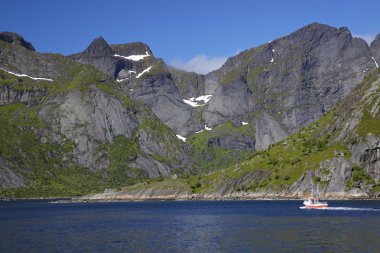 Reinefjorden