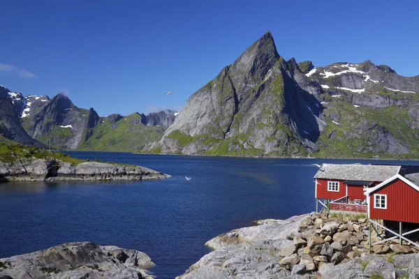 Fiorde nas ilhas Lofoten — Fotografia de Stock