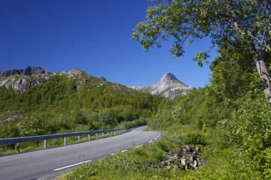 Roadtrip in Norway clipart