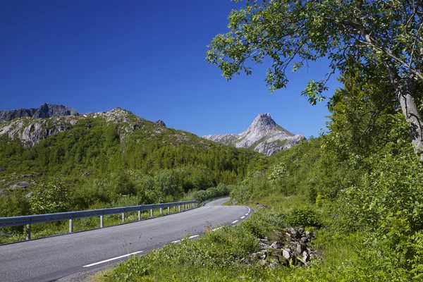 Road trip en Norvège — Photo