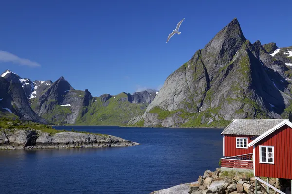 Lofoten eilanden — Stockfoto