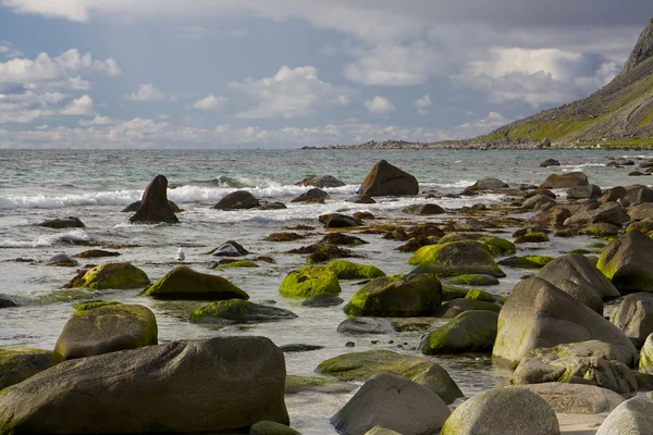 Rocas en la playa — Foto de Stock