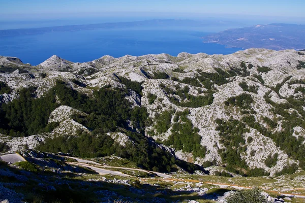 Dalmacija — Stok fotoğraf