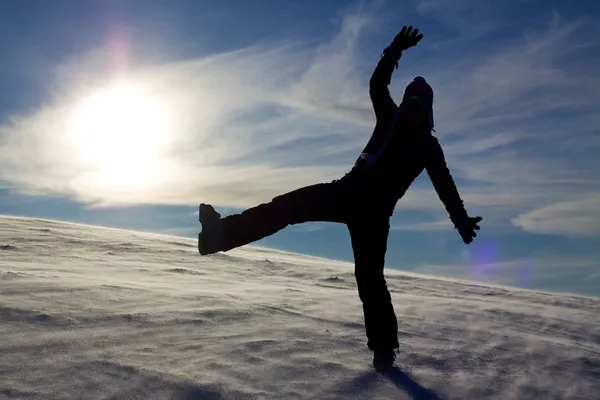 Wintervreugde — Stockfoto