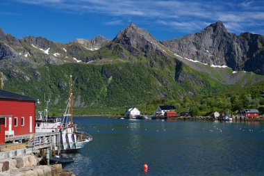 Lofoten balıkçı limanı