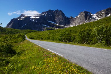 Norveç'te yol
