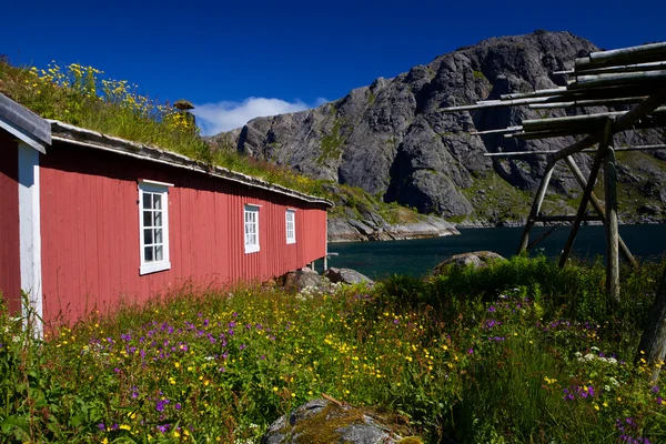 Rifugio norvegese per la pesca del rorbu — Foto Stock