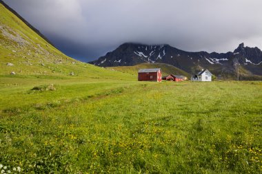 lofoten çiftlikte