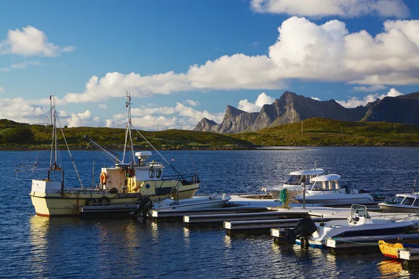 Fiske på lofoten — Stockfoto