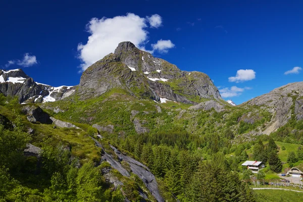 Doğal lofoten — Stok fotoğraf