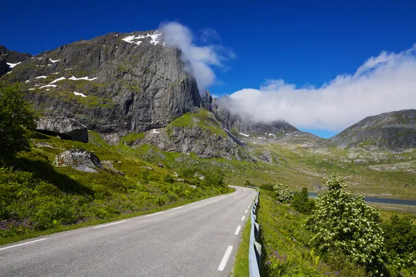 Weg in Noorwegen — Stockfoto