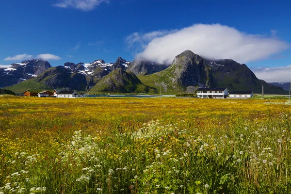 Sommer in Norwegen — Stockfoto