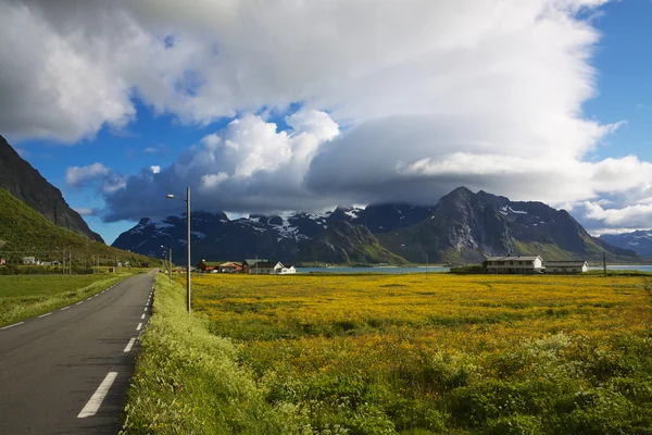 Strada per Lofoten — Foto Stock