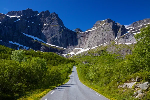 Straße in Norwegen — Stockfoto