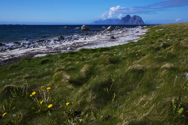 Playa en las islas Lofoten — Foto de Stock