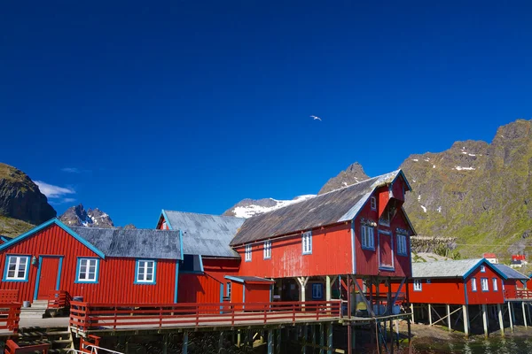 Norwegische Fischereifabrik — Stockfoto