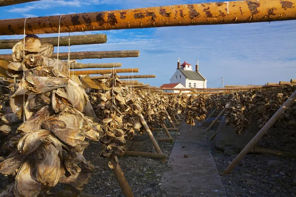 Torkning lager fisk — Stockfoto