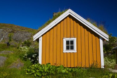Norveç döken