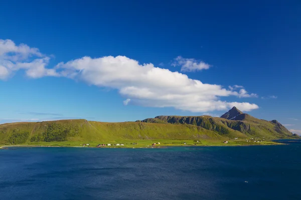 Lofoten verde — Fotografia de Stock