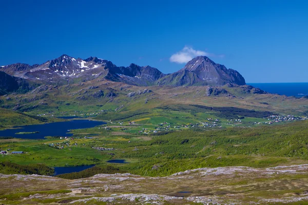 Lofoten in summer — Stock Photo, Image