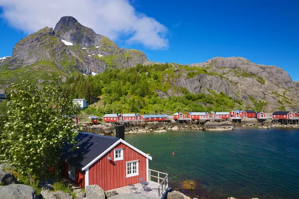 Nusfjord — Stock fotografie
