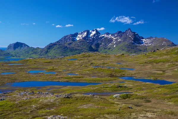 Montanhas lofoten — Fotografia de Stock