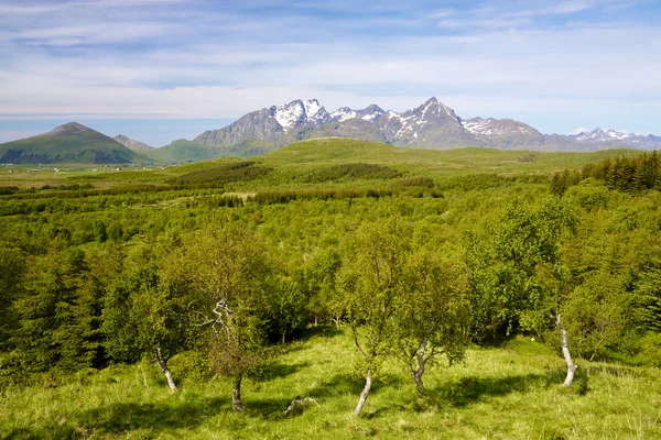 Sommer in Norwegen — Stockfoto