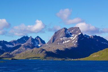 Norveç