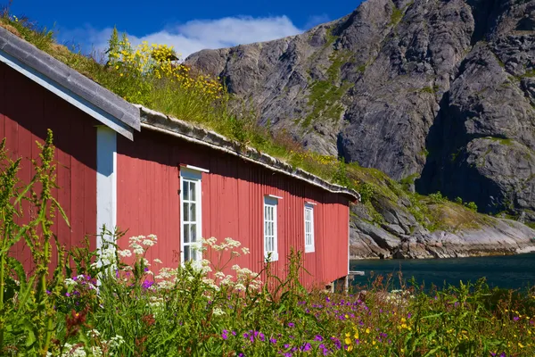 ノルウェーの漁村の小屋 — ストック写真