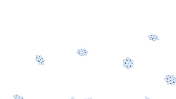 Chute de flocons de neige — Video