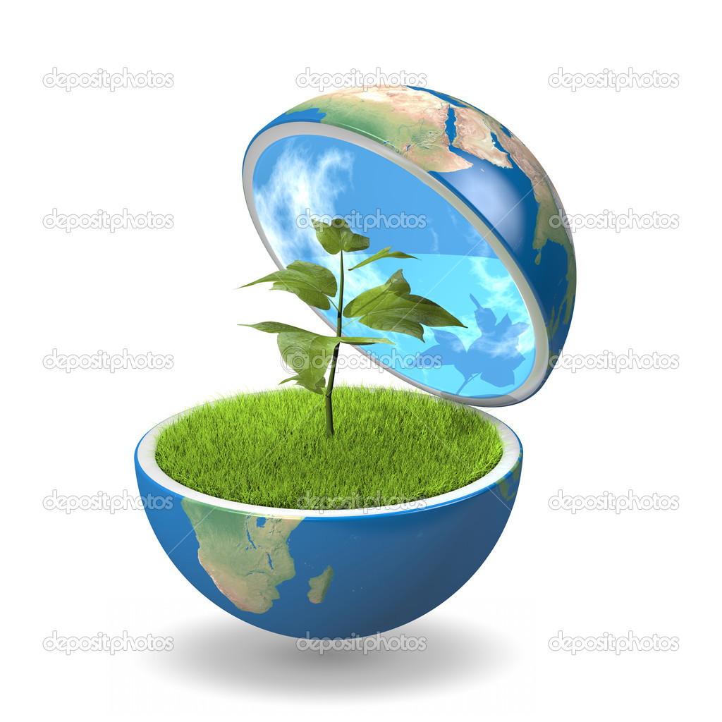 Plant inside planet