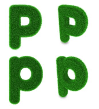 otların yapılan harf p