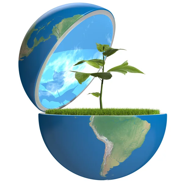 Plant inside planet — Stock Photo, Image