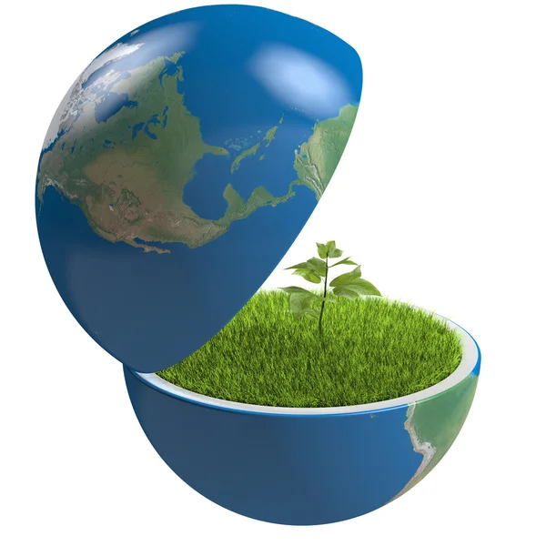 Plant inside planet — Stock Photo, Image