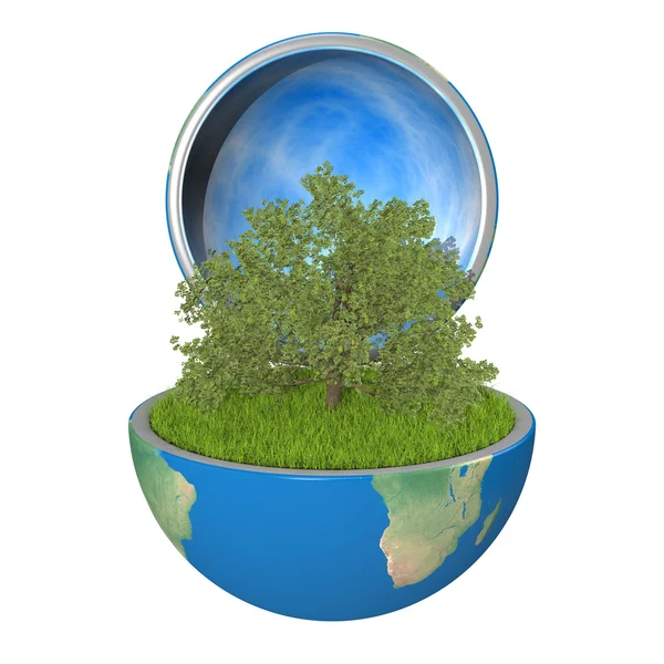 Oak tree inside planet — Stock Photo, Image