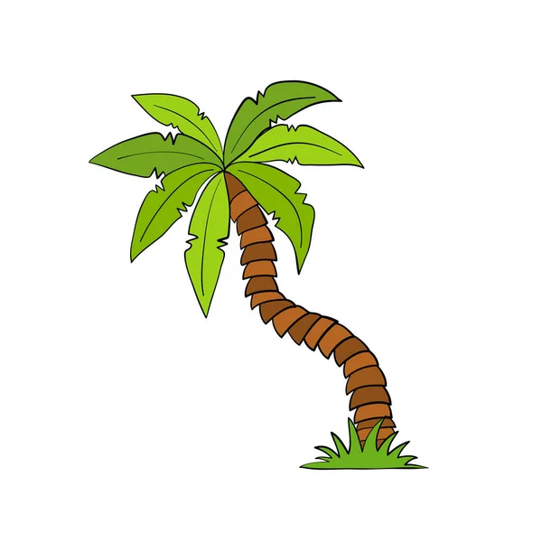Cartoom Hand Tekenen Kokosnoot Palmboom — Stockvector