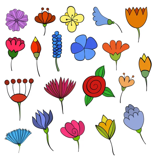Set Von Handgezeichneten Bunten Blumen Für Florales Kartendesign — Stockvektor