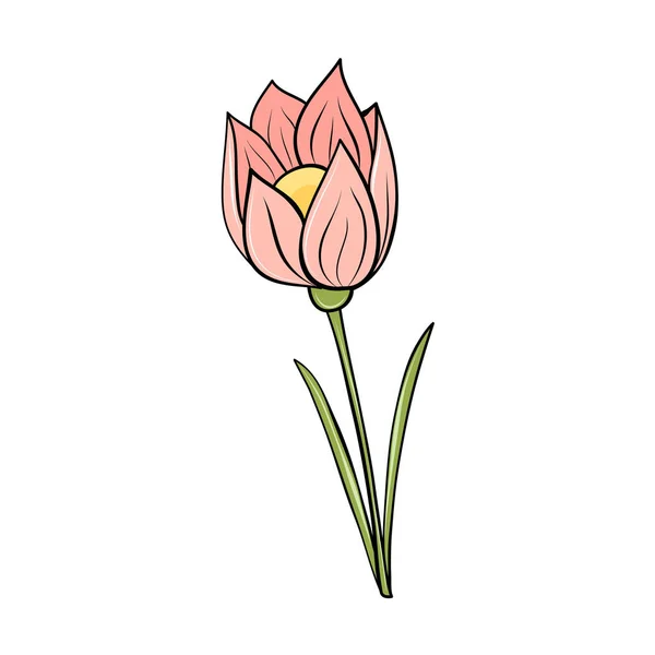 Pink Spring Crocus Flower Hand Drawn Cartoon Style Card Design — Stock Vector