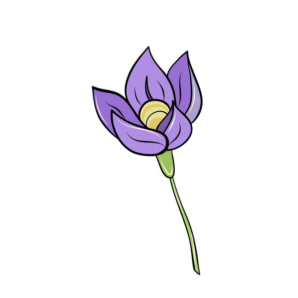 Paarse Lente Krokus Bloem Hand Getrokken Cartoon Stijl Voor Kaart — Stockvector