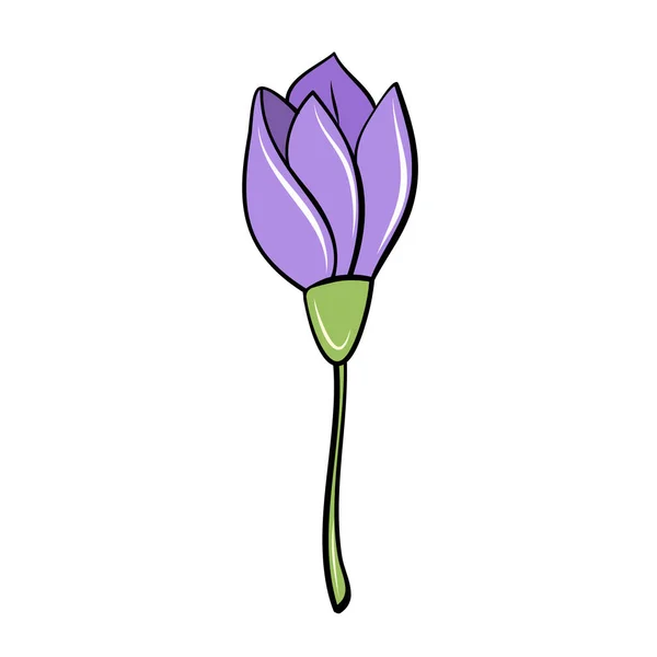 Paarse Lente Krokus Bloem Hand Getrokken Cartoon Stijl Voor Kaart — Stockvector