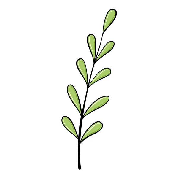 Green Willow Plant Branch Leaves Design — Vetor de Stock