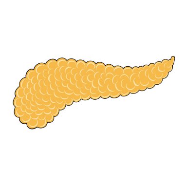 Tıbbi tasarım için karikatür tarzında insan pankreası